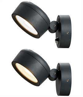 Mini Black Garden Flood Light - Adjustable Colour and Sensor Option