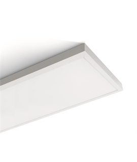 White 40W, 120x30cm LED slim plafo light, IP40, suitable for residential and commercial application.