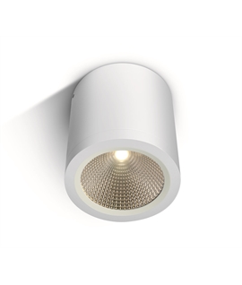 White 10W COB LED cylinder, IP54, suitable for indoor and outdoor
installation.