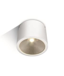 White 25W COB LED cylinder, IP54, suitable for indoor and outdoor
installation.