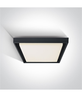 Anthracite 30W LED slim plafo, IP54, ideal for both indoor and outdoor
installation.