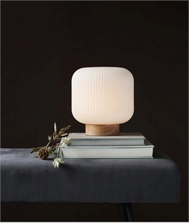Petite Table Lamp with Opal Lined Glass Shade 