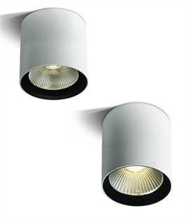 White COB LED Cylinder - IP65 & Two Sizes