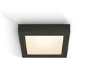 Black 22W LED slim plafo light, IP40, suitable for residential and
commercial application.